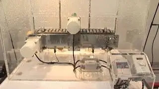 IP67 Rated AC Induction Motor Product Demo - FPW Series