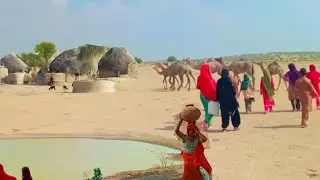 Pakistani Village on India Pakistan Border  | Extreme Desert Life Cholistan Desert