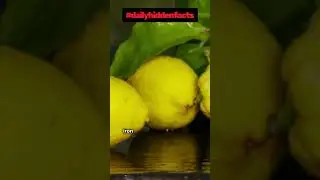 Lemons Are Hiding More Than You Think!