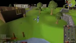 Thieving Pet OSRS