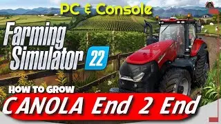 From Seed to Harvest: Mastering Canola Growth in Farming Simulator 22