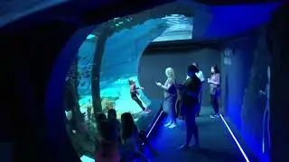 Texas State aquarium located in Corpus Christi.