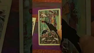 3 card crow tarot