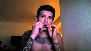 Jaming on my new Mini Hohner Little Lady Harmonica