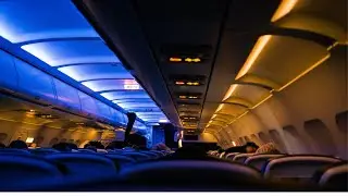 Fall Asleep to Airplane White Noise | Dynamic Screen 37mins