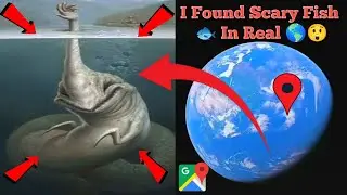I Found Scary Fish 🐟 In Real On Google Earth Old Maps 🌎#googlemaps #googleearth #viralvideo