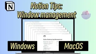 Notion Tips | Desktop Window Management