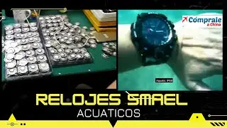 Visita a la Fábrica de Relojes SMAEL, Sea un Distribuidor de Buenos Relojes - Cómprale a China