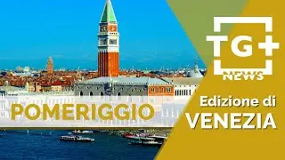 Gravemente vandalizzati 6 pulmini dell'AVAPO di Mestre. La condanna di Zaia - TG Plus NEWS Venezia