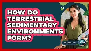 How Do Terrestrial Sedimentary Environments Form?