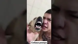 Слипкнот нервно курит в стороне