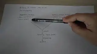 Chapter 9- Roles of Hormones during Pregnancy and Parturition