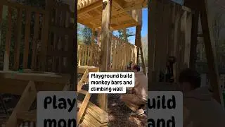 Backyard Playground, Monkey bars and Climbing Wall