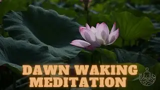 Dawn waking meditation|Morning Relaxing Music - Wake up with Beautiful Nature
