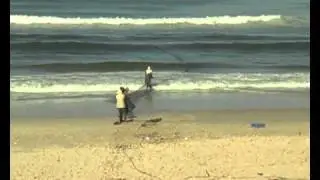 Gaza pesca alla sciabica