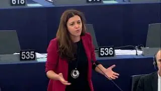 Revision of EU Parliament's Rules 13.12.2016 UKIP, Janusz Korwin Mikke