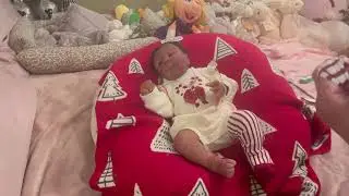 РОЖДЕСТВЕНСКИЙ ДЕНЬ ДОМА С СЕМЬЕЙ / ДАВАЙТЕ ПОДМЕНИМ КОЖУ МАЛЫШАМ