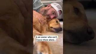 My dog hates when I do this!