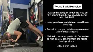Round Back Extension