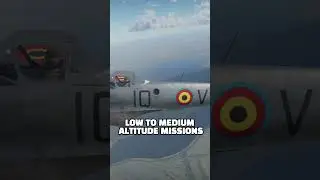 Why does this reconnaissance plane have guns?