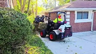 Matias Tree Service uses specialized equipment from Bobcat to move limbs.