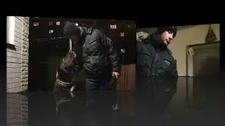 Поиграем? Молодой хозяин и алабай.