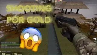 CodFish | Shooting For Gold