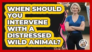 When Should You Intervene With A Distressed Wild Animal? - Animal Care Jobs
