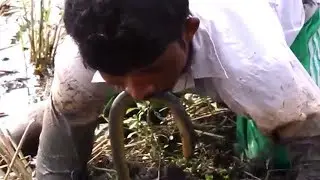 Believe This Eel Fishing? Unique Eel Fish Catching System In Deep Hole.
