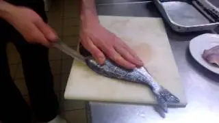 preparer une dorade entiere pour en faire de beau filets