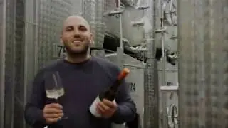 Virtuelle Weinprobe mit Joscha Dippon   |    2018 Johanniter trocken VDP.GUTSWEIN