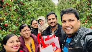 Apple picking in the farm...
