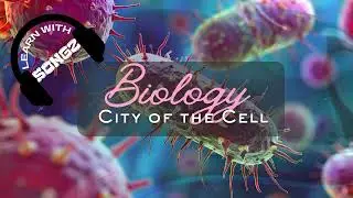 The City of the Cell (AP Biology Song) | Learn Organelles, Functions & Cell Structure!