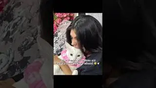 RIP to Pranali&rsquo;s precious cat 🥺🕊️ | Pranali Rathod | Cat