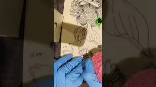 Tattoo process in seconds - from scratch #shorts #tattoo #tattooart #tattooprocess #tattoartist