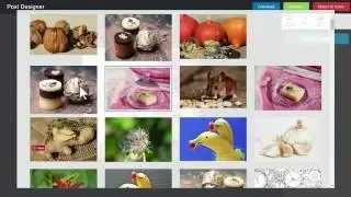 BLEUPAGE PRO REVIEWS Huge Free Traffic BLEUPAGE PRO REVIEWS