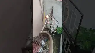 Spiral stairs hybrid design fire exit