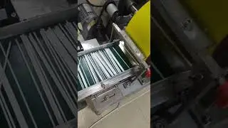 Anoter working day of cotton ear bud paper stick making machine