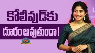 Is Sai Pallavi will Leave from Kollywood ? | Ramayana | Vetrimaaran || @NTVENT
