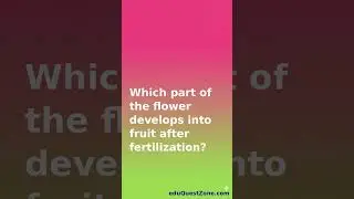 🧬 Biology Rapid Fire Quiz | Test Your GK in 30 Secs! #ncertbiology #ncert #short