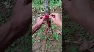 Very Useful and Reliable Knot #knot #easyknot