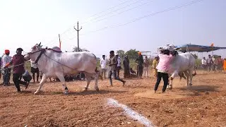 🔴 పెద్దతాండ్ర పాడు 3 బండ్లు గిరక పోటిలు 2026 //  9 వ జత