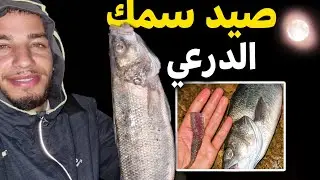 رحلة صيد سمك أبلاغ فمصيد بلاية الذيبة شمال مدينة الداخلة وكانت المفاجأة 😍🐟🎣