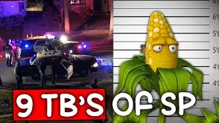 Компания Kernel Corn арестована за хранение видеороликов с саженцами...