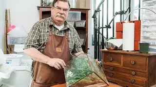 My Dad's Terrarium Shop in Portland, OR