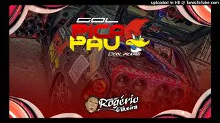 24 ELETROFUNK 2026 - GOL PICA PAU - DJ ROG&Eacute;RIO OLIVEIRA