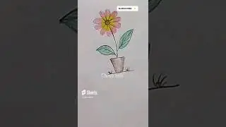 How to draw flowers easy ||Easy flower drawing #chocokids #shorts #drawingforkids
