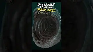 🌊 The Bloop (1997): Mysterious Ocean Sound | 🐋❓ #horrorinhistory