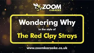 The Red Clay Strays - Wondering Why - Karaoke Version from Zoom Karaoke
