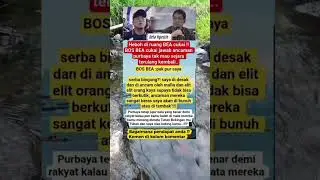 ternyata ini alasan bos bea cukai tutup mulut #shorts #trending #viral